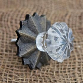 Clear Umbrella Glass Knob with Backplate