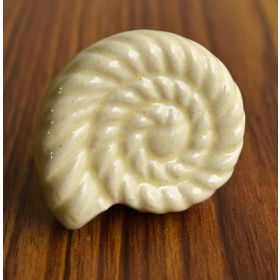 Shell Ceramic Knob