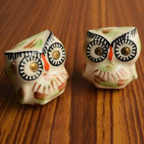 Golden Eyed Owl Ceramic Kids Cabinet Knob