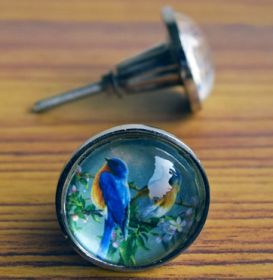 Bluebirds Metal Glass Cabinet Drawer Knob Pull