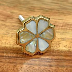 Daisy Luxe Brass Mother of Pearl Cabinet Drawer Knob