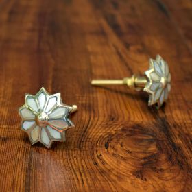 Flower Mother of Pearl Drawer Pull Knob