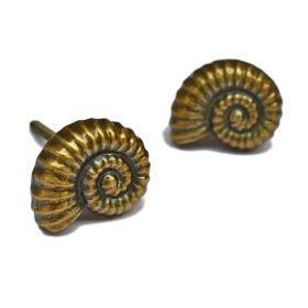 Antique Brass Ammonite Shaped Cabinet Drawer Knob